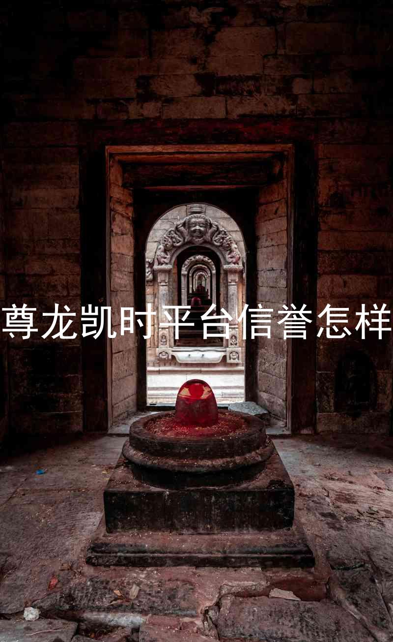 尊龙凯时平台信誉怎样