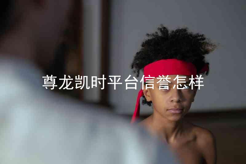 尊龙凯时平台信誉怎样