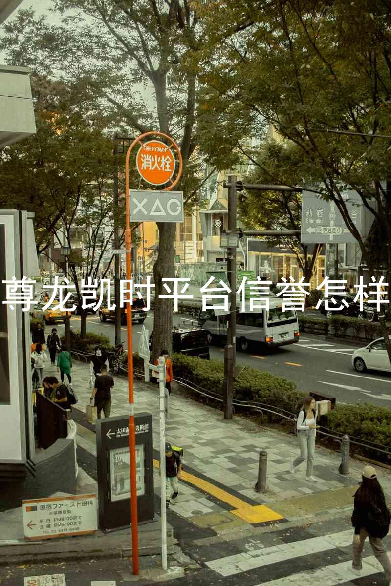 尊龙凯时平台信誉怎样