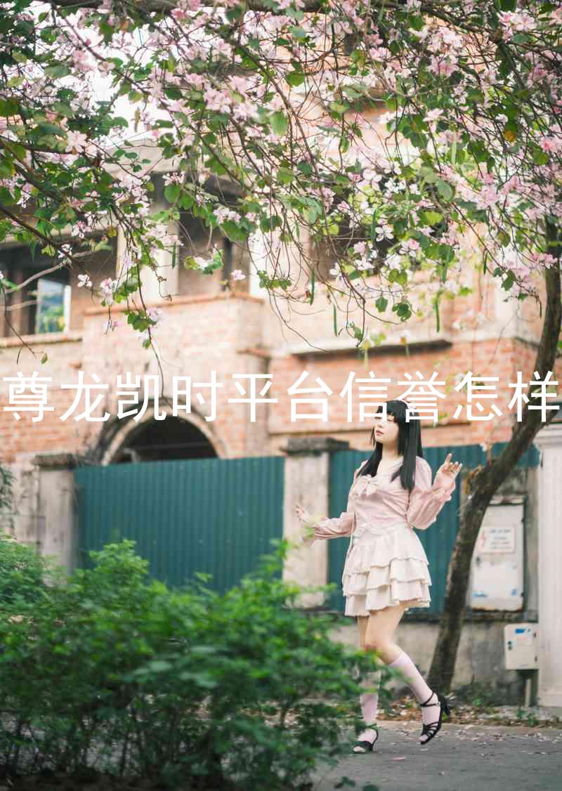 尊龙凯时平台信誉怎样
